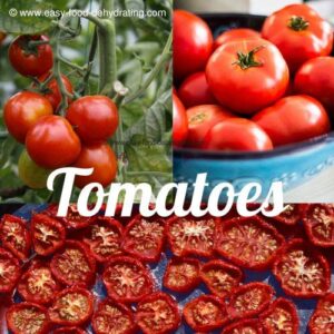 Tomatoes Galore in Your Garden? Dehydrate ‘Em! Image